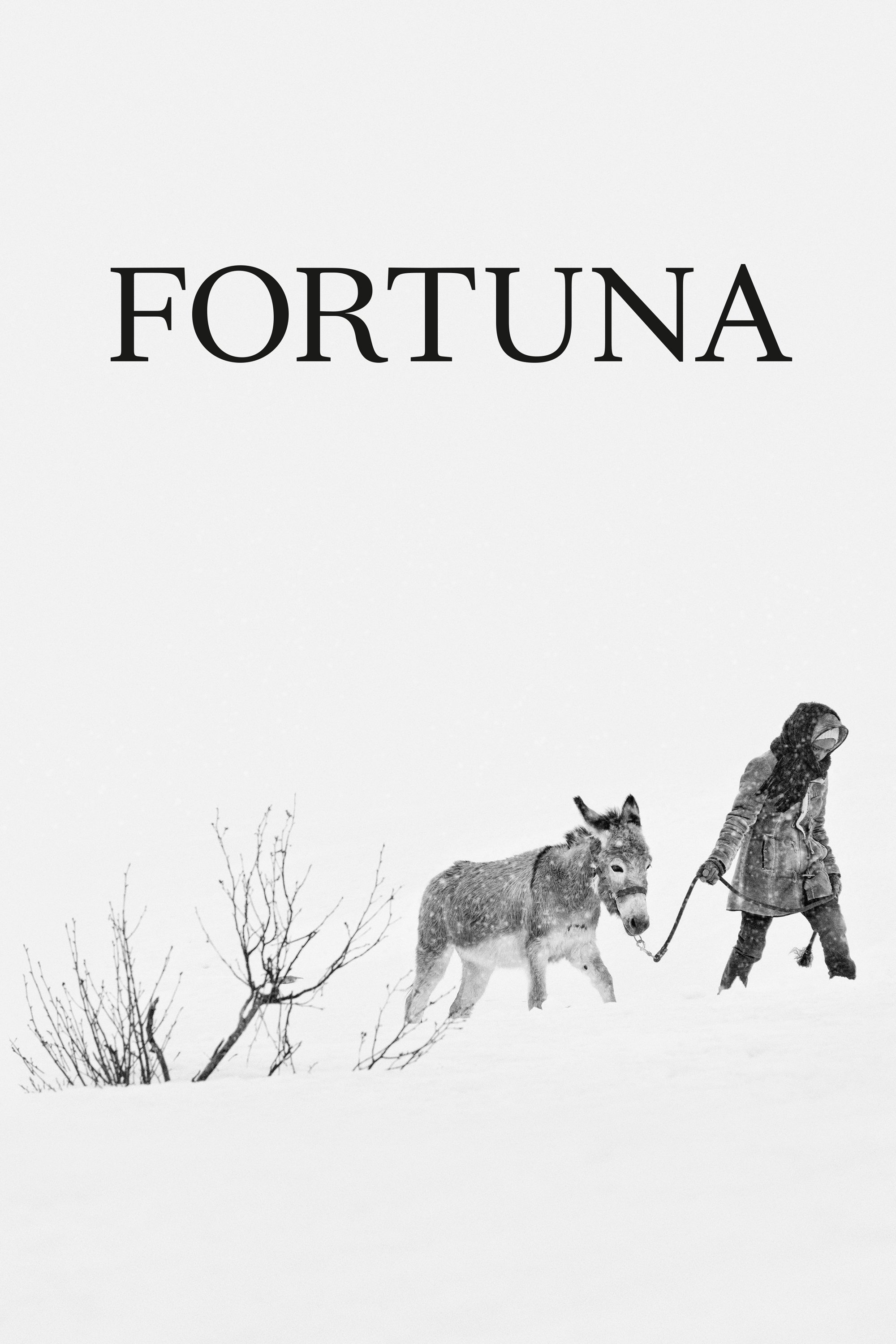 Постер Fortuna